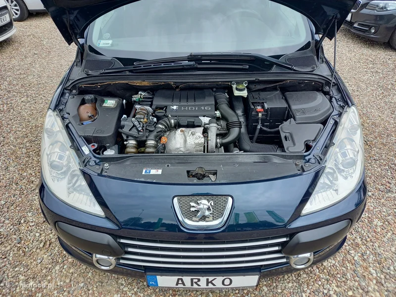 Peugeot 307 SW 15