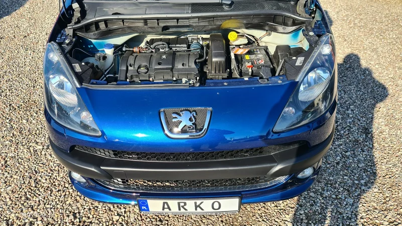 Peugeot 1007 21