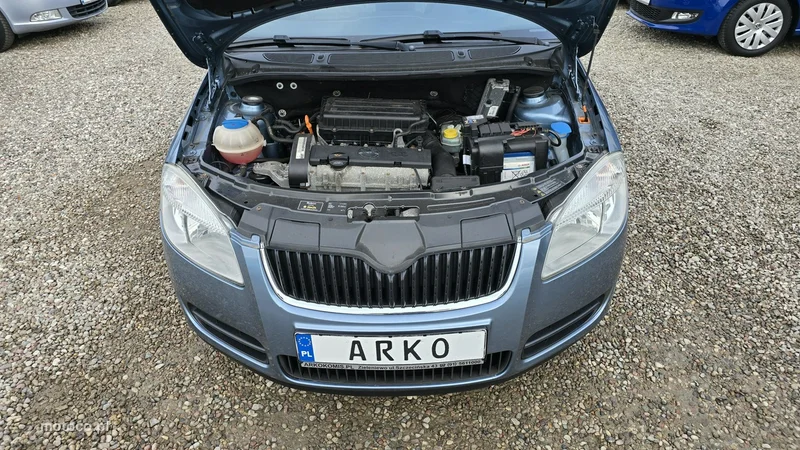 Skoda Fabia II 15