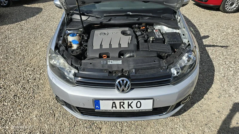 Volkswagen Golf VI 16