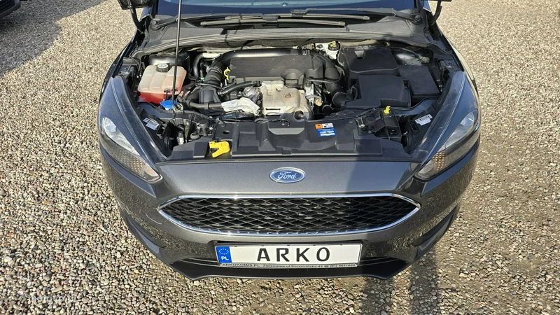 Ford Focus III 15