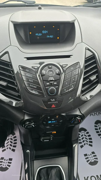 Ford EcoSport 18