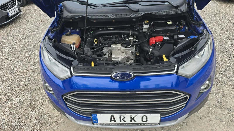 Ford EcoSport 23