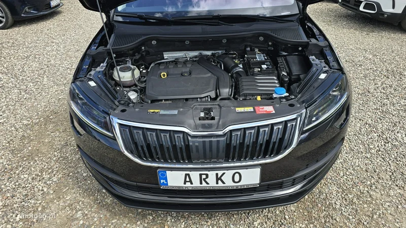 Skoda Karoq I 16