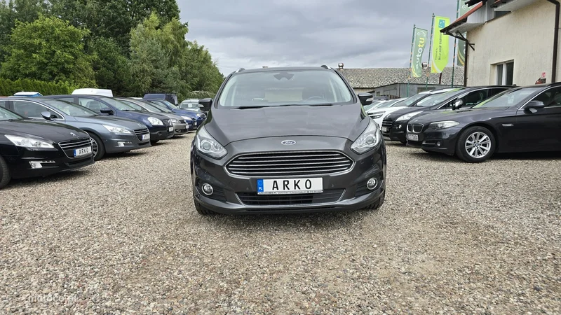 Ford S-Max II 6