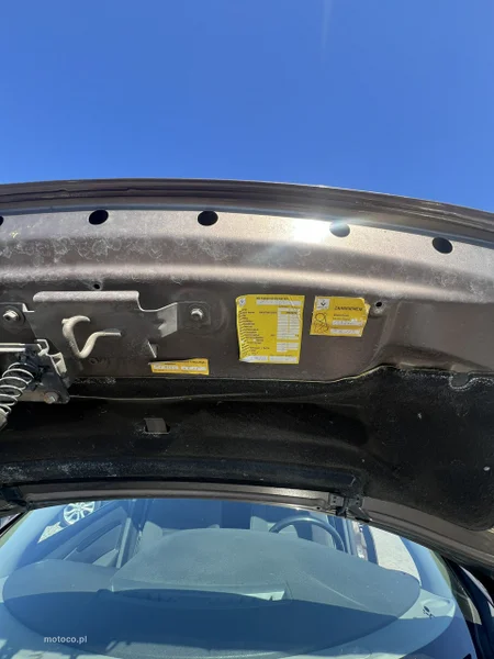 Renault Scenic III 14