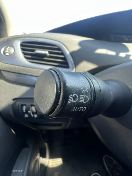 Renault Scenic III 18