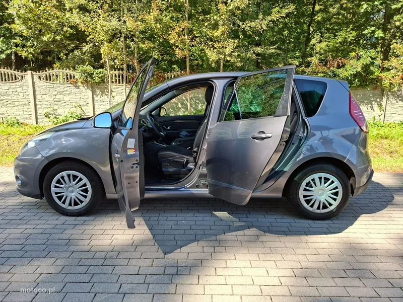 Renault Megane III 20