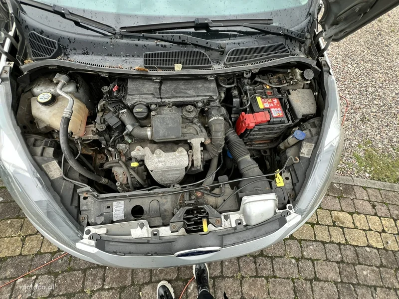 Ford Fiesta VI 21
