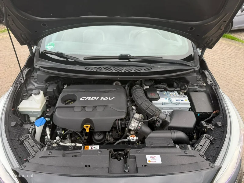 Kia Pro Cee'd 21