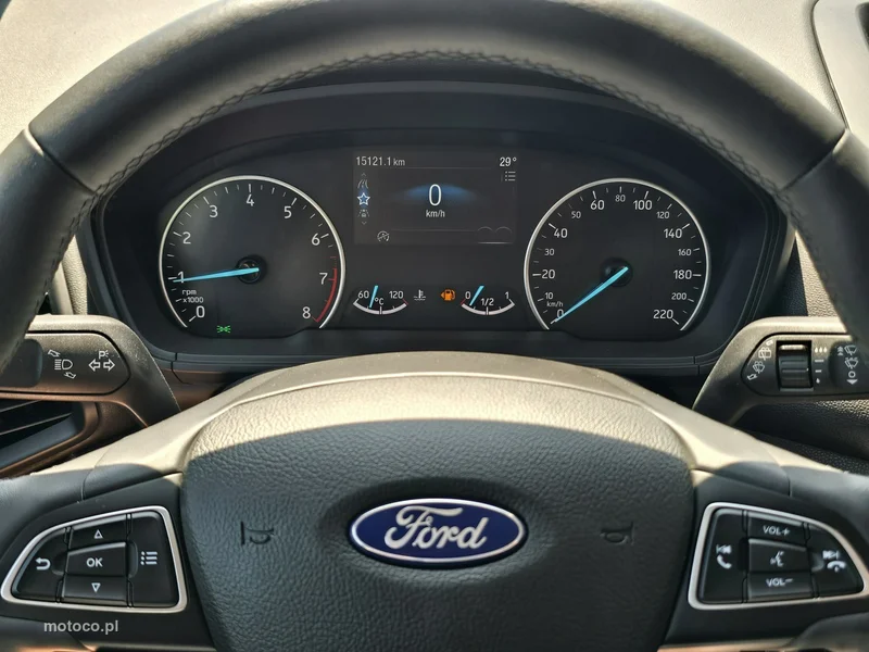 Ford EcoSport 18