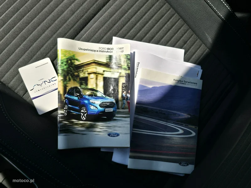 Ford EcoSport 39