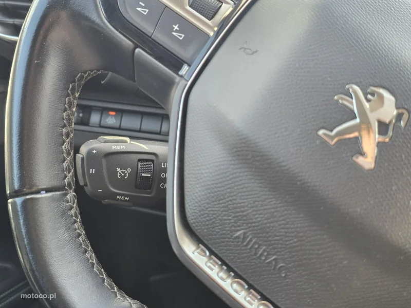 Peugeot 3008 25