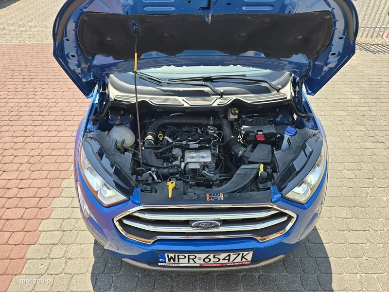 Ford EcoSport 37