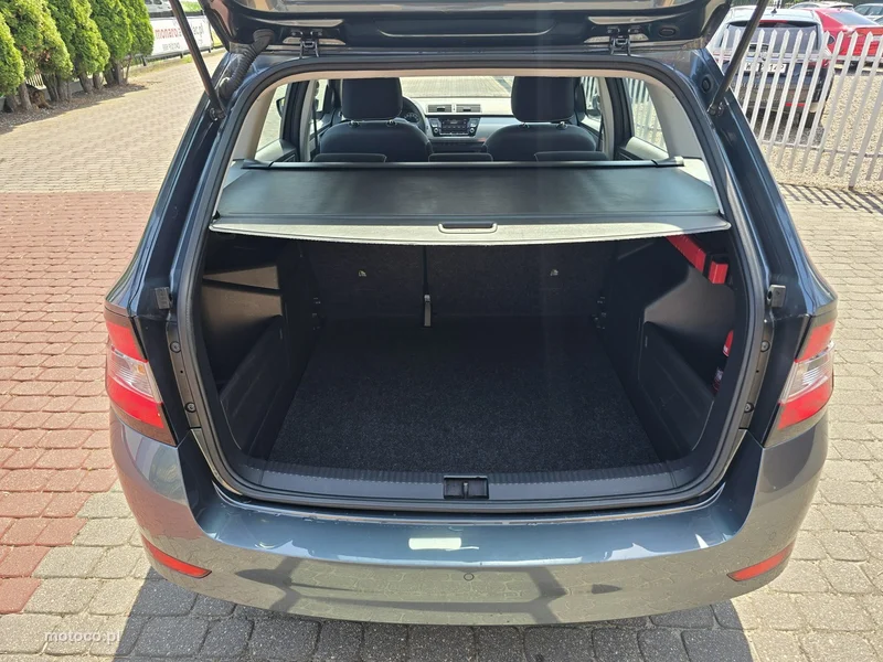 Skoda Fabia III 33