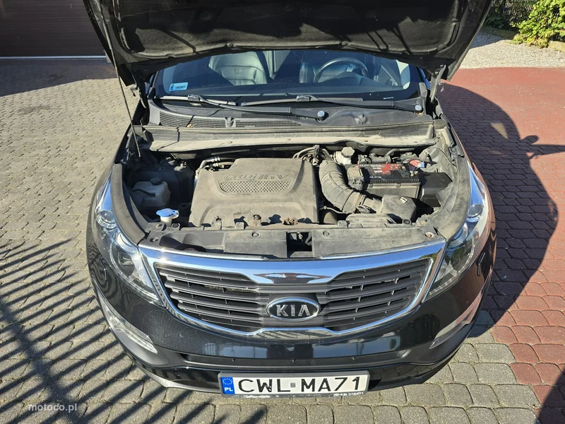 Kia Sportage 31