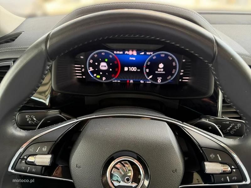 Skoda Kodiaq I 17