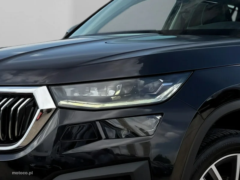 Skoda Kodiaq I 9