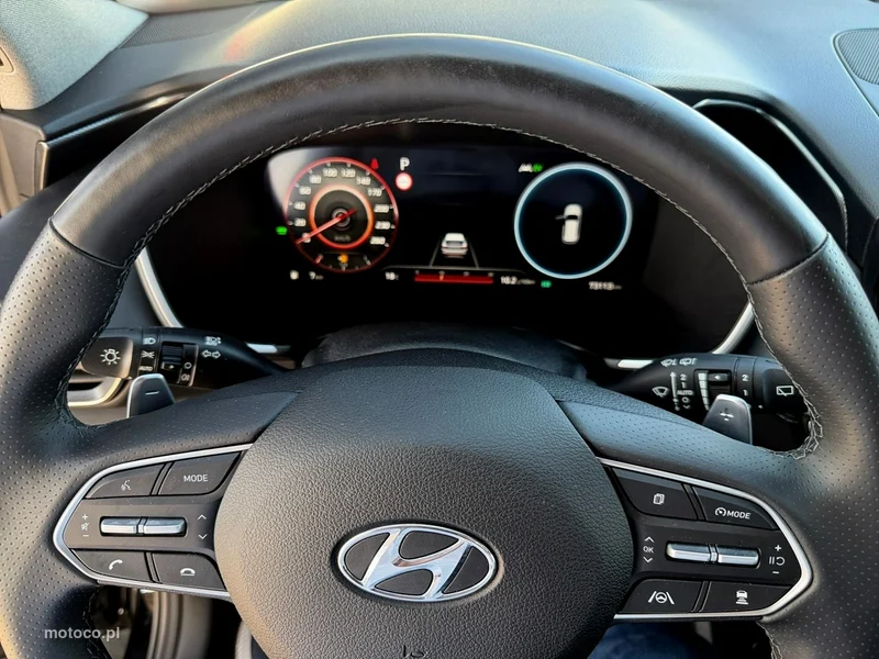 Hyundai SANTA FE 17