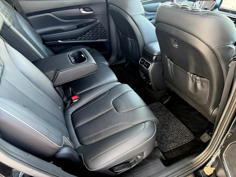 Hyundai SANTA FE 31