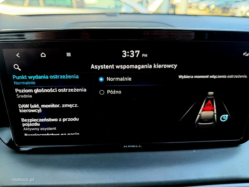 Hyundai SANTA FE 39