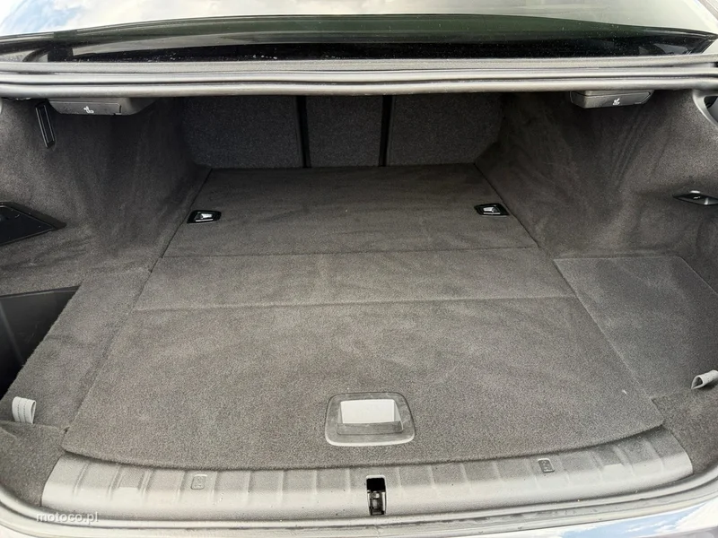 BMW Seria 5 G30 530 14