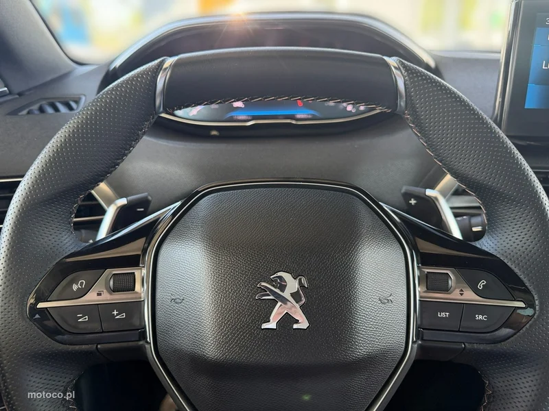 Peugeot 3008 19