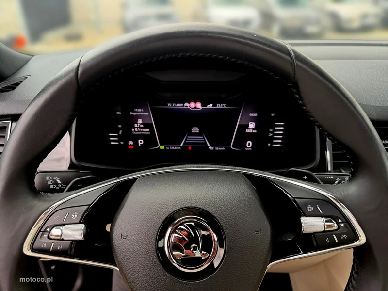 Skoda Kodiaq I 18