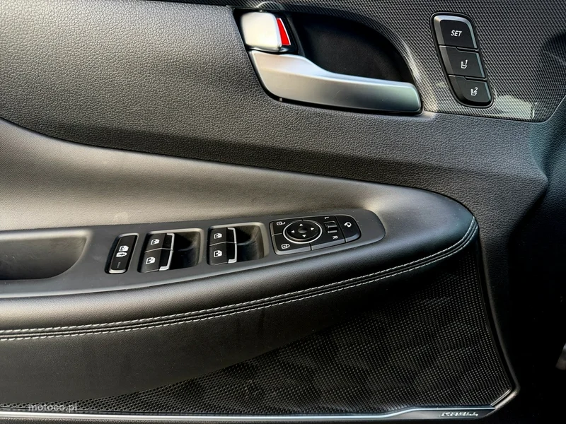 Hyundai SANTA FE 17