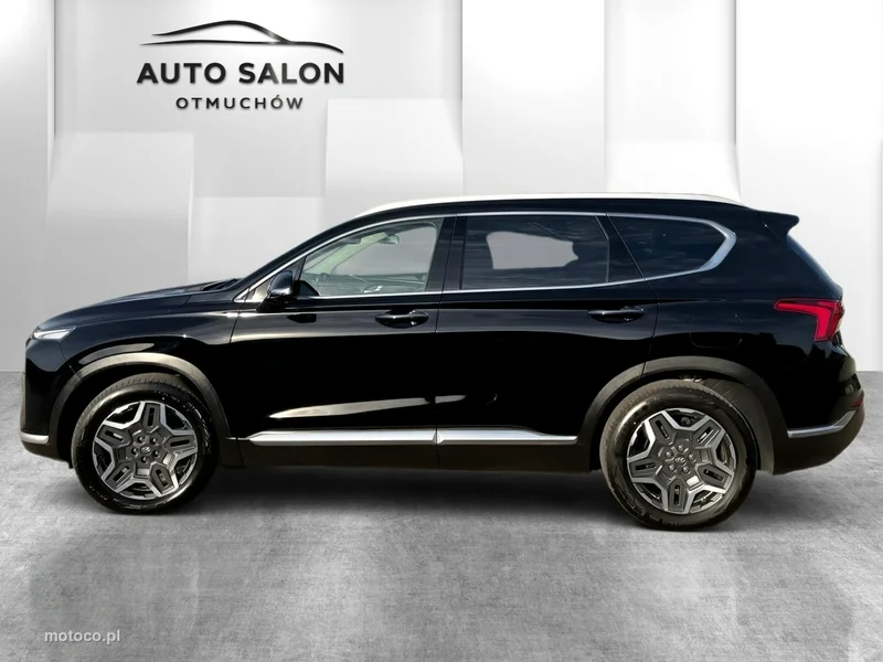 Hyundai SANTA FE 8