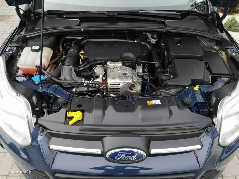 Ford Focus III 13