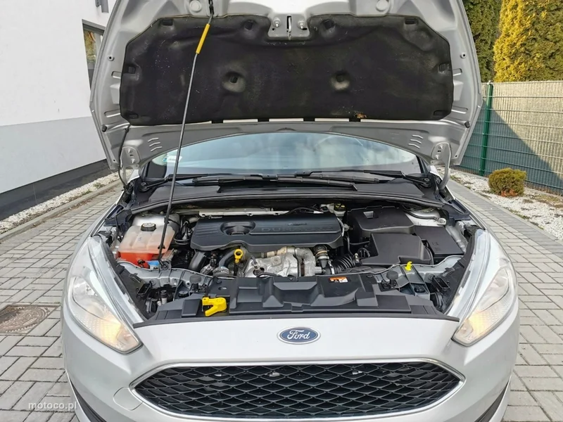 Ford Focus III 17