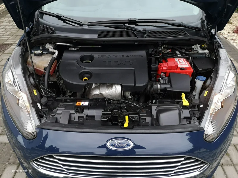 Ford Fiesta VI 18