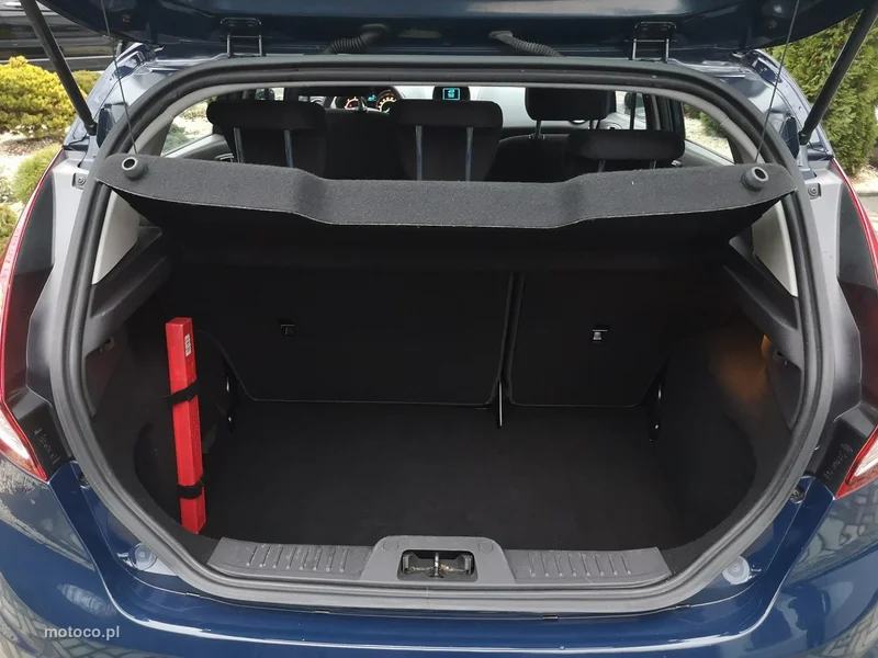Ford Fiesta VI 8