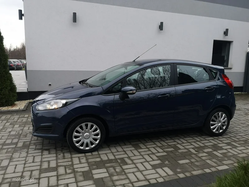 Ford Fiesta VI 10