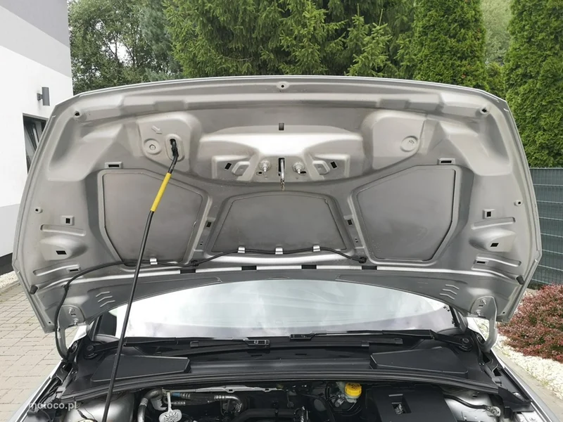 Ford Focus III 21