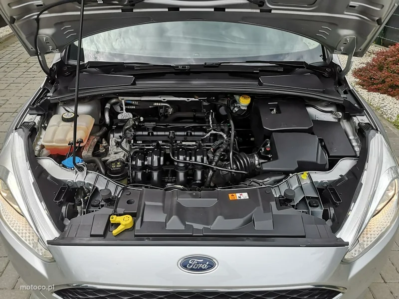 Ford Focus III 22