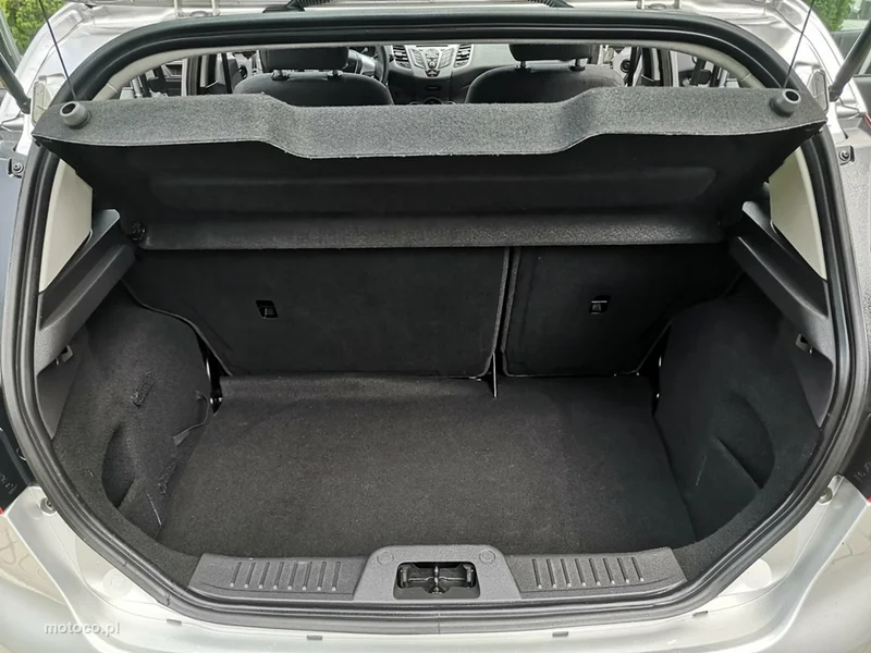 Ford Fiesta VI 20