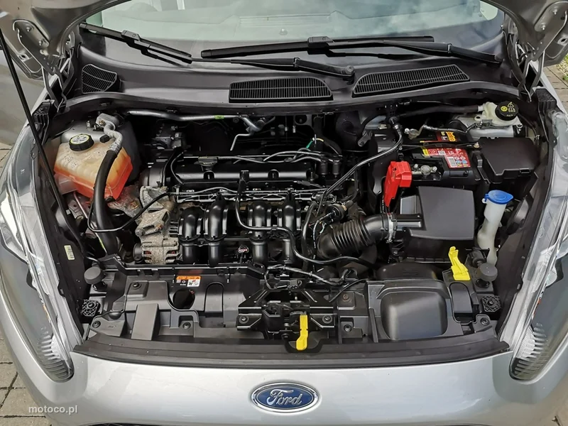 Ford Fiesta VI 22