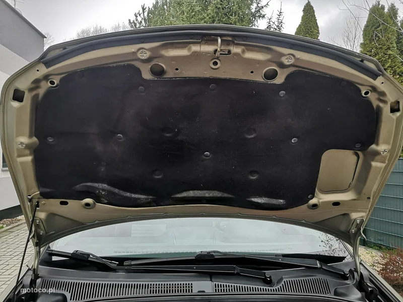 Fiat Sedici 19