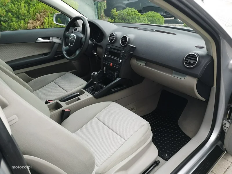Audi A3 8P 19