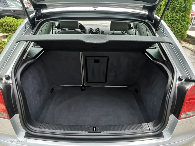 Audi A3 8P 20