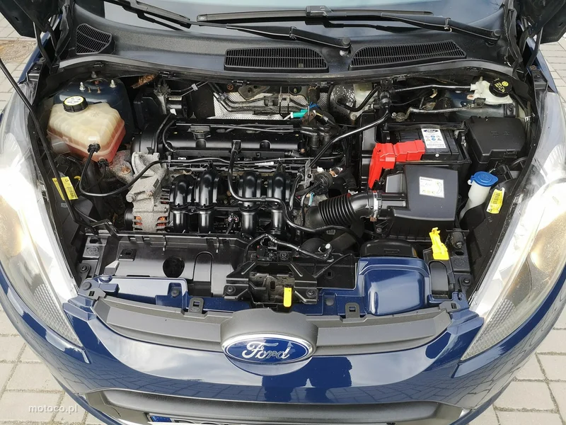 Ford Fiesta VI 15