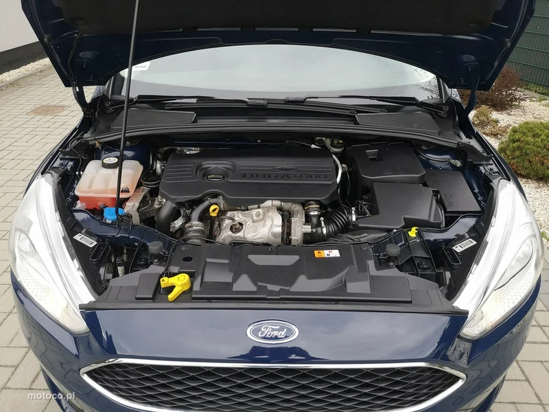 Ford Focus III 17