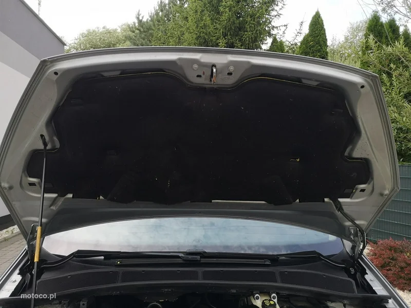 Ford S-Max I 18