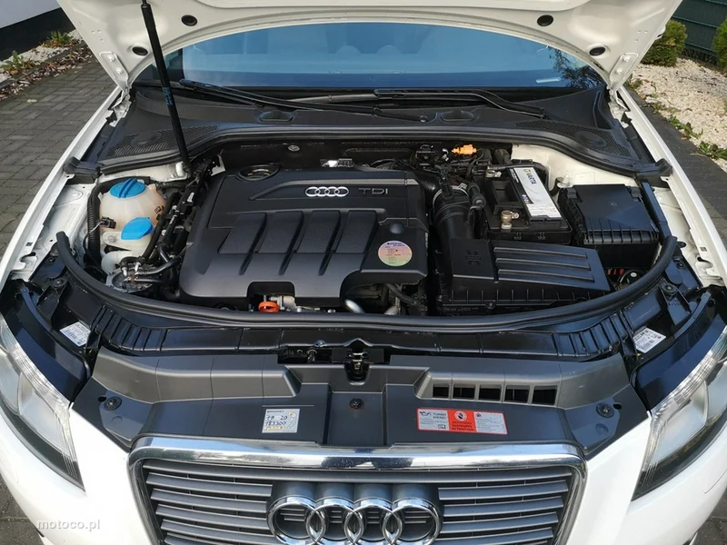 Audi A3 8P 24