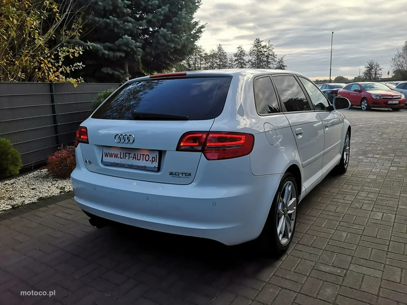 Audi A3 8P 6