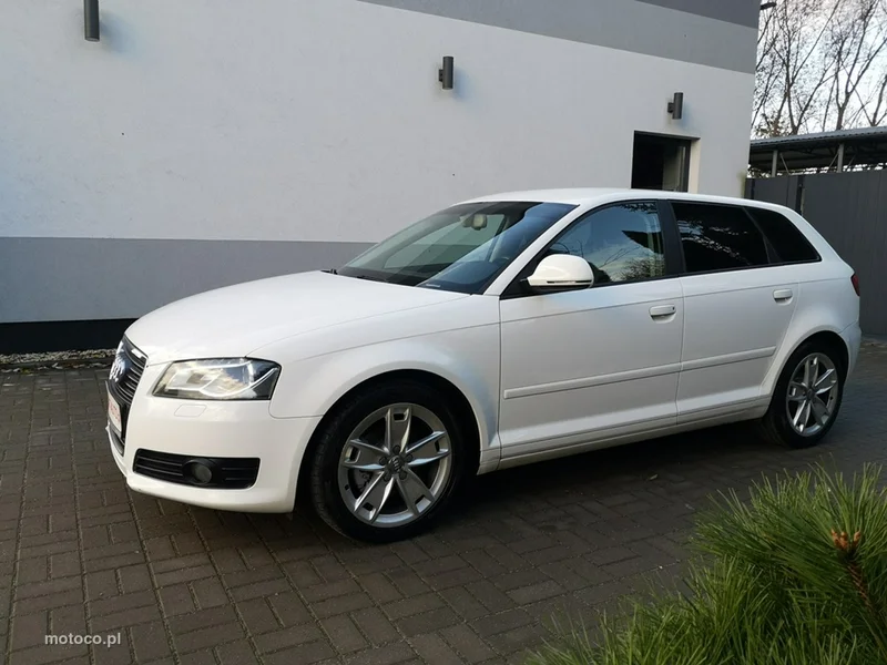 Audi A3 8P 10
