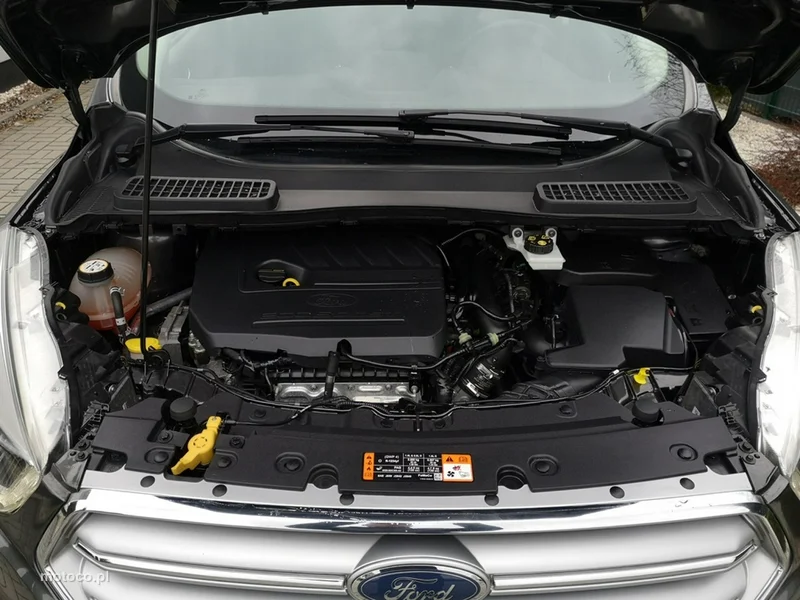 Ford Kuga II 30