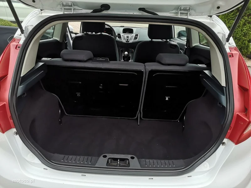 Ford Fiesta VI 20